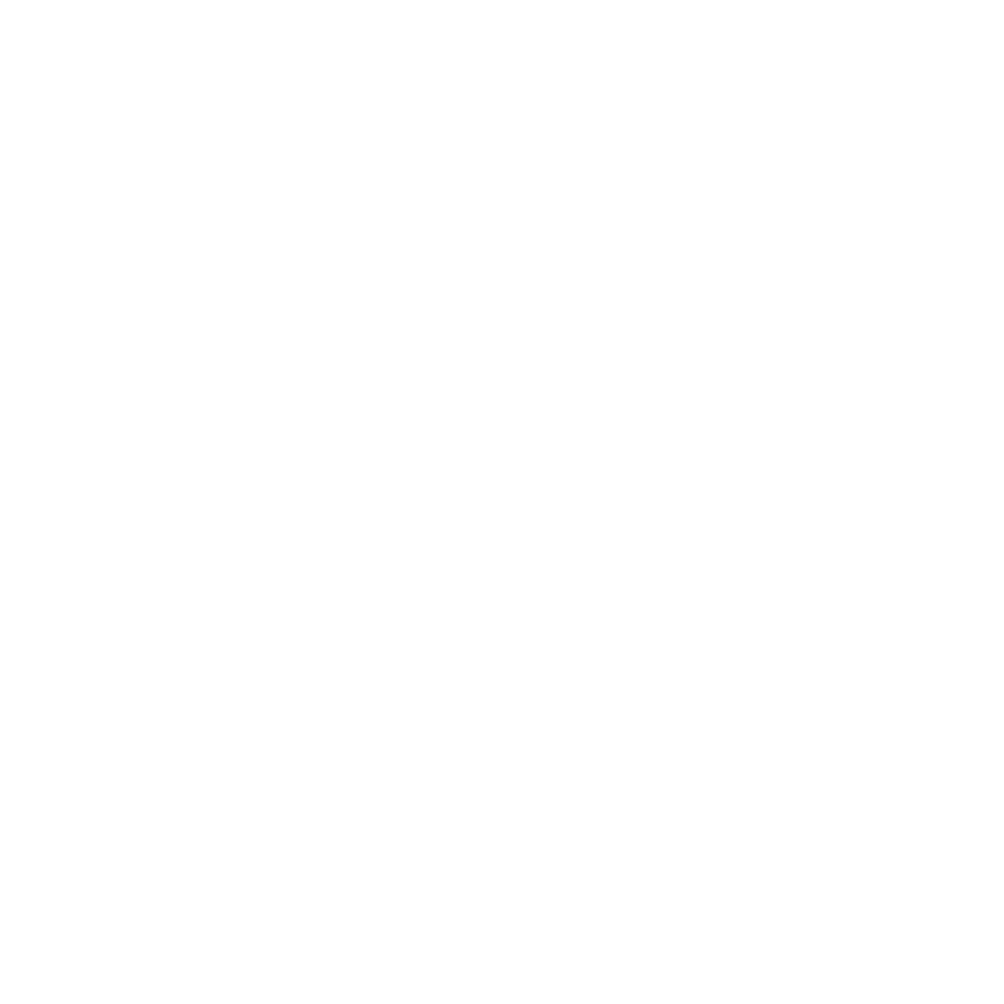 sayimagery logo